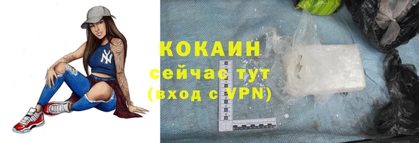 индика Касимов