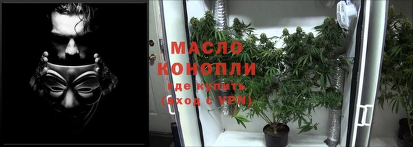 индика Касимов