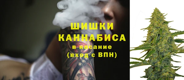 индика Касимов