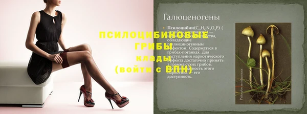 индика Касимов