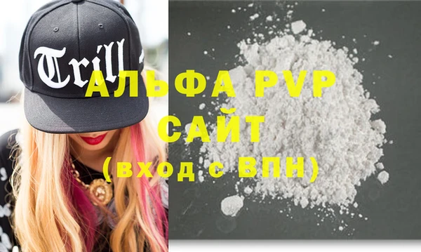 индика Касимов