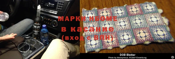 индика Касимов