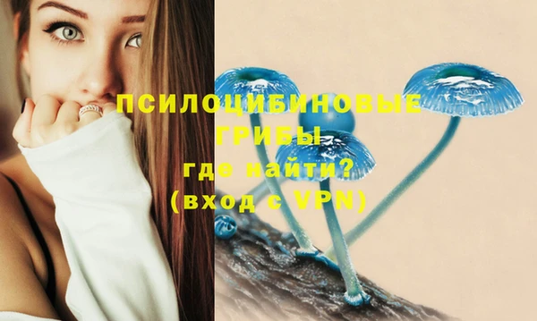индика Касимов