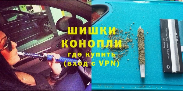 индика Касимов